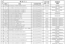 武汉发布2017年第6批失信黑名单