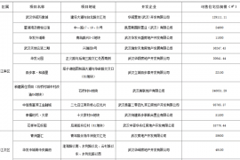 武汉公布第二季度170个上市楼盘，附详细项目清单