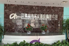 对安徽梦舟实业股份有限公司资产收购 交易对方关涛、徐亚楠予以公开谴责