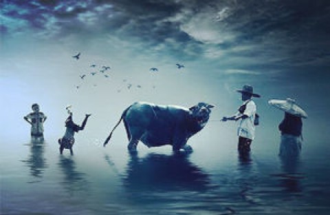 德众金融高逾期 部分国有担保公司未及时代偿