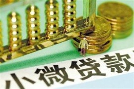 2019年普惠小微贷款增加2.09万亿元