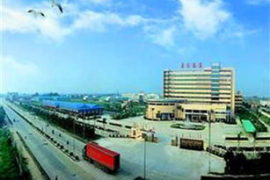 广东榕泰实际控制人因信息披露不及时被上海证券交易所予以通报批评处分