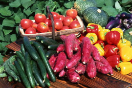 蔬菜市场批发价四月份同比下降12.5%