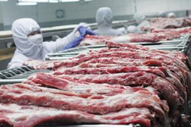 猪肉价格连跌13周，价低至26元/公斤