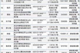武汉市文明办市法院联合公布2018年第3批失信黑名单