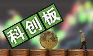 如何当好资本市场新兵 上交所给科创板公司掌门开课 综合 第1张