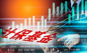 大丰收！猛赚超3000亿，2.6万亿社保基金2019“战报”来了：收益率这么高！ 基金投资 第1张