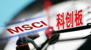 MSCI季度调整，首纳科创板股票 基金投资 第1张