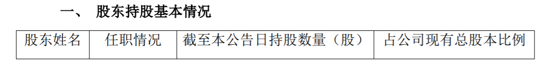 佳创视讯：公司董监高人员股份减持计划 公司风险 第1张