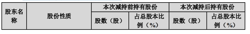 鼎汉技术：持股5%以上股东减持计划期限届满暨未来六个月减持计划 公司风险 第3张