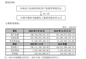 河南易成新能源股份有限公司资产置换暨关联交易 公司风险 第1张