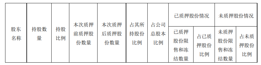 长海股份：控股股东部分股权质押 公司风险 第2张