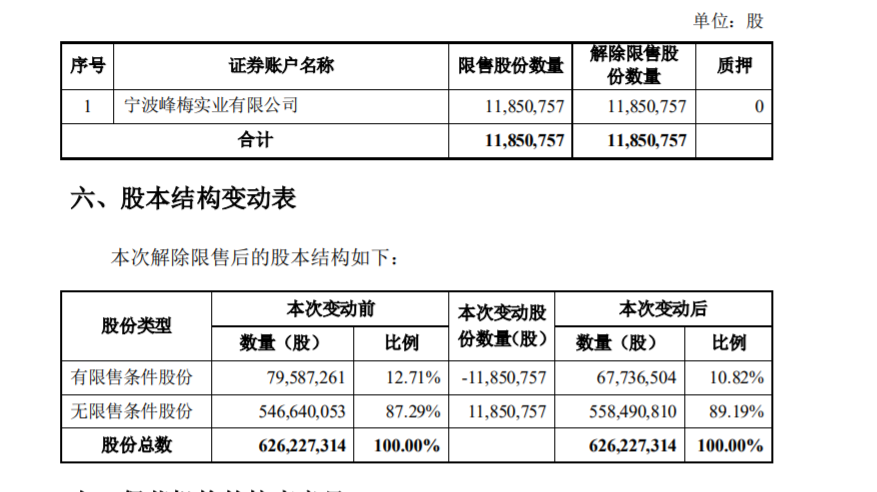 宁波华翔：宁波华翔电子股份有限公司非公开发行股票之部分限售股解禁上市流通 公司风险 第1张