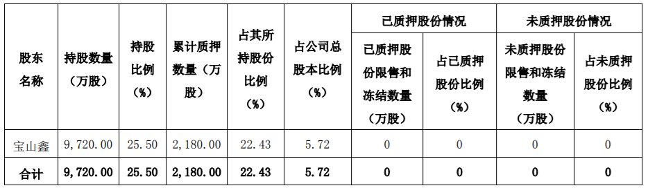 银宝山新：公司股东股份解除质押 公司风险 第2张