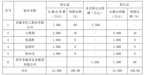 多氟多化工股份有限公司拟出售控股子公司股权并签署股权转让意向协议暨关联交易 公司风险 第3张