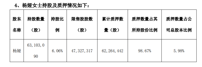 海伦哲 ：公司持股5%以上股东减持股份 公司风险 第2张