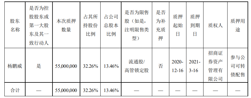 长海股份：控股股东部分股权质押 公司风险 第1张