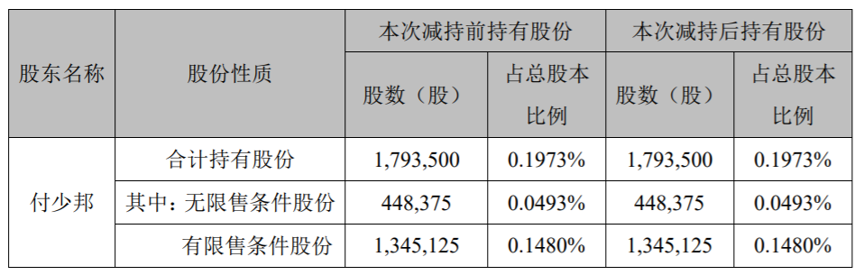 万润股份：公司董事、高级管理人员减持计划实施进展 公司风险 第3张