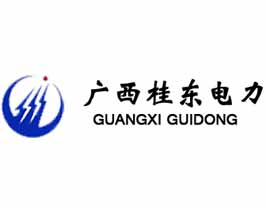 桂东电力：发行股份及支付现金购买资产并募集配套资金暨关联交易之标的资产过户完成 公司风险 第1张