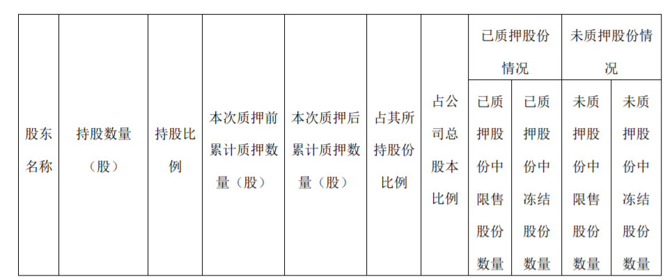 健友股份：控股股东部分股票质押 公司风险 第3张