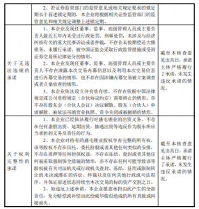 国海证券股份有限公司深圳盛新锂能集团股份有限公司发行股份购买资产并募集配套资金暨关联交易限售股解禁的独立财务顾问核查意见 公司风险 第4张