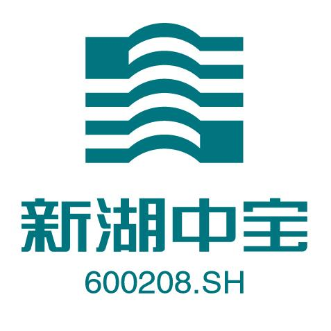 新湖中宝股份有限公司 关于控股股东股份质押解除的公告 公司风险 第1张