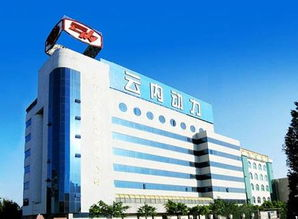 云内动力:海通证券股份有限公司关于公司发行股份及支付现金购买资产并募集配套资金暨关联交易之限售股解禁的独立财务顾问核查意见 公司风险 第1张-贝它财经