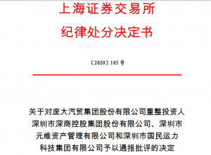 上海证券交易所对庞大汽贸集团股份有限公司重整投资人 深圳市深商控股集团股份有限公司、深圳市 元维资产管理有限公司和深圳市国民运力 科技集团有限公司予以通报批评 综合 第1张