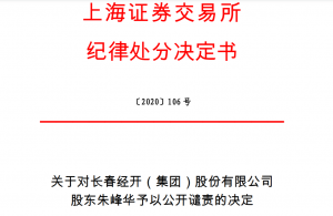 上海证券交易所对长春经开（集团）股份有限公司 股东朱峰华予以公开谴责 综合 第1张